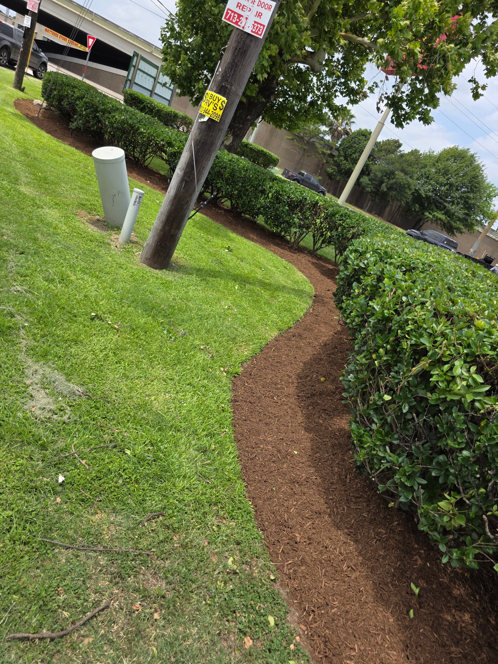 Work sample 3 from Roros lawn care