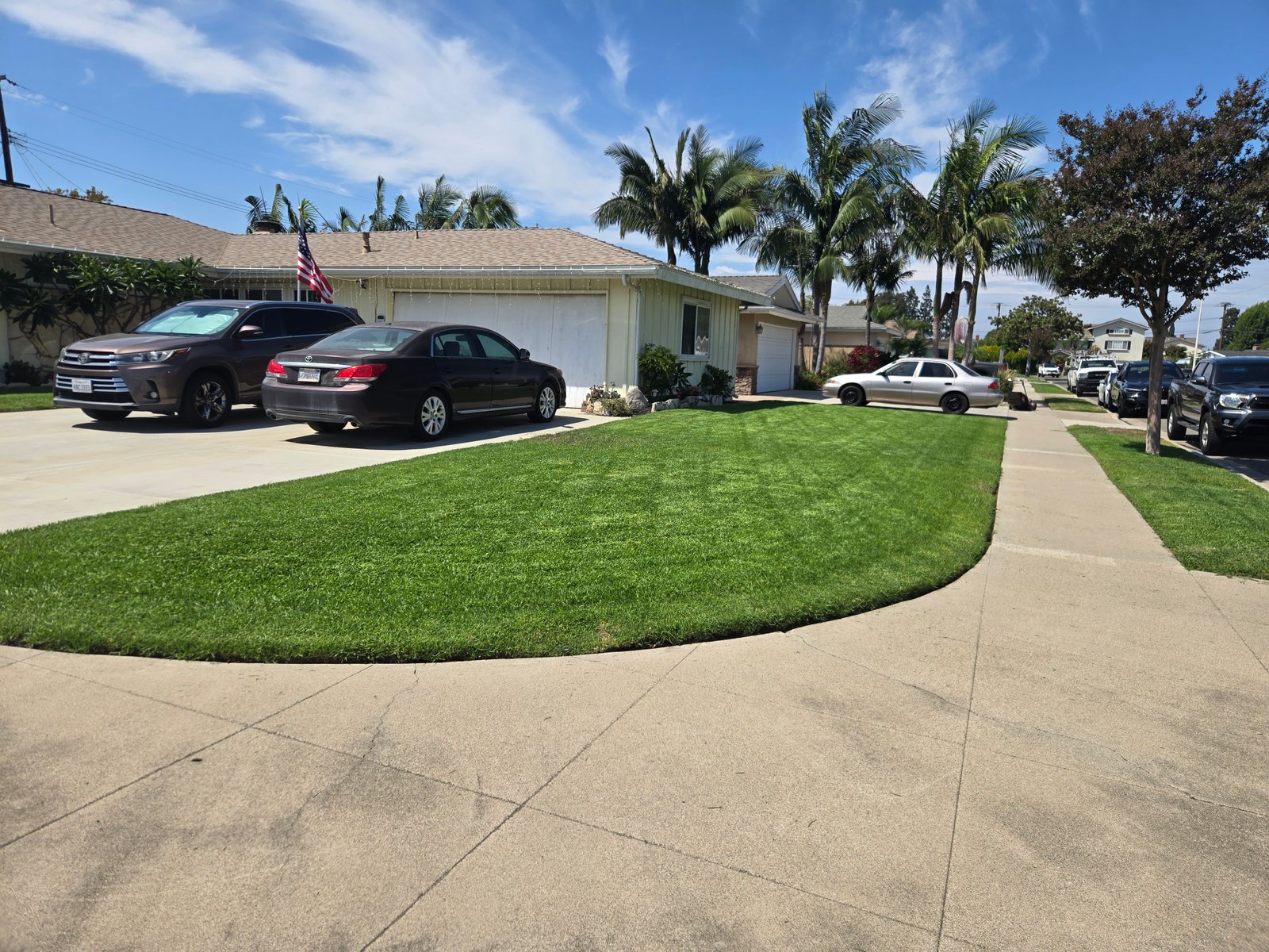 Work sample 1 from Martin lawn maintenance garden 