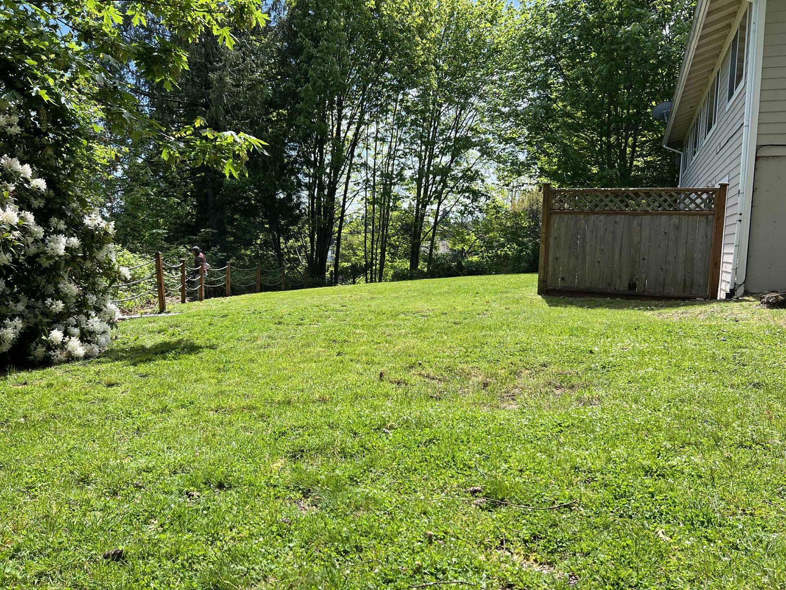 Work sample 6 from Henry S. Landscaping