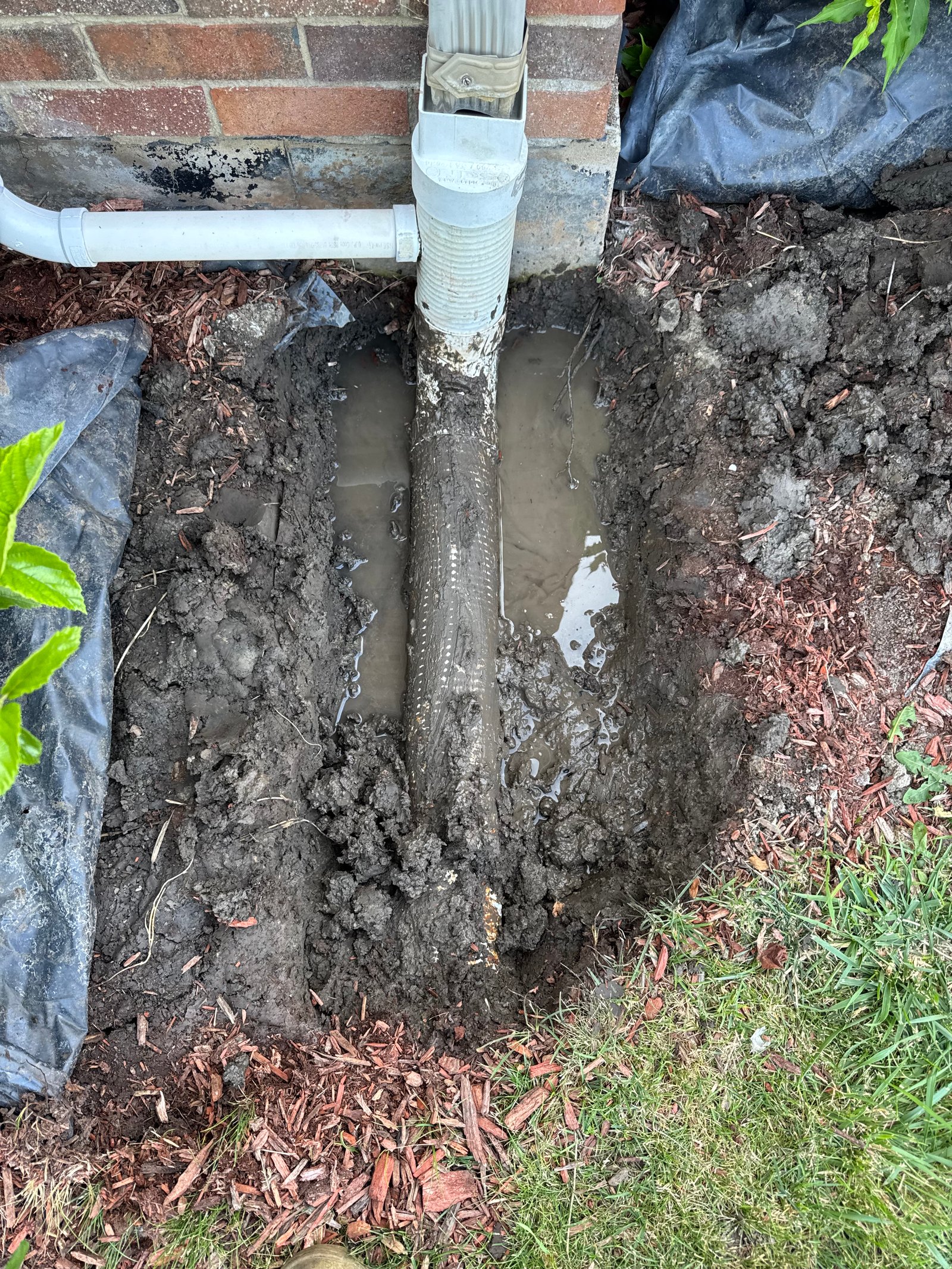 Work sample 5 from Green planet lawn care